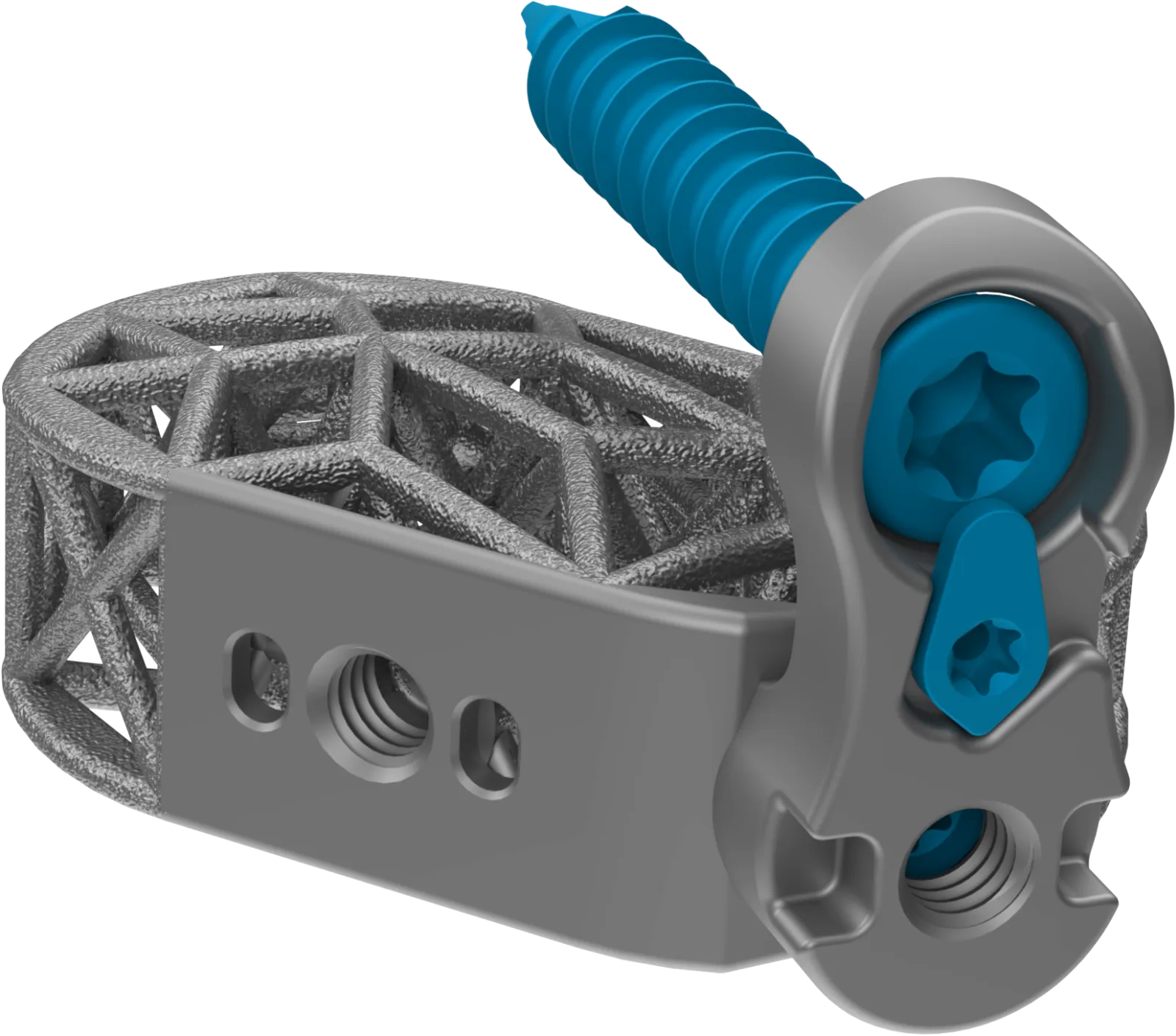 Lumbar Spine Plating Solution