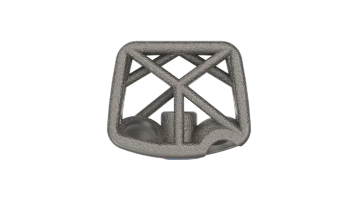 Snowshoe Interface, CSTS-SA implant face