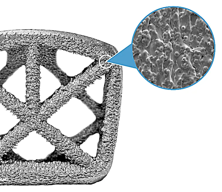 Truss implant surface at 50x magnification showing hierarchical surface roughness