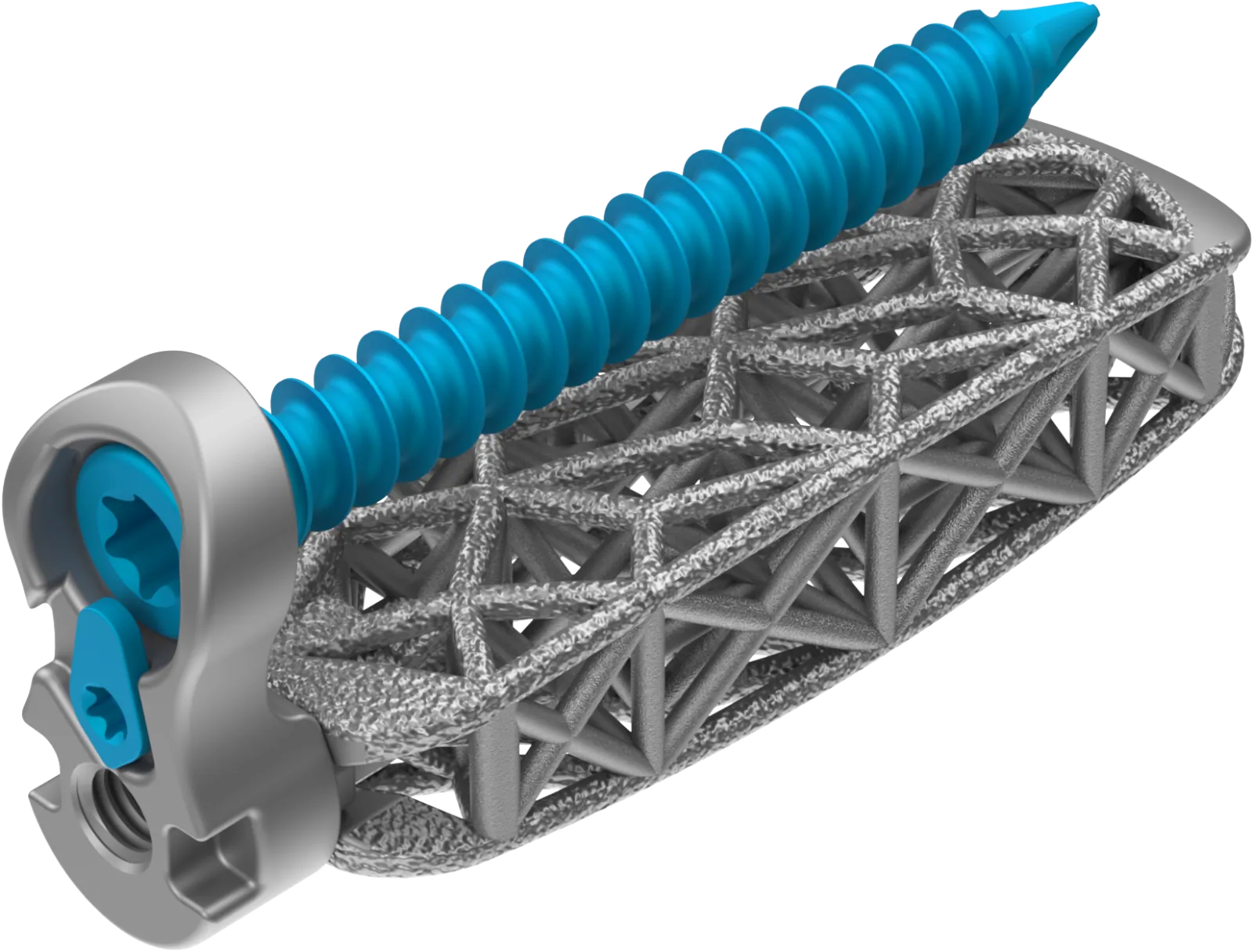 Lumbar Spine Plating Solution